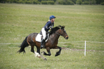BVHT 140517  NXC -247