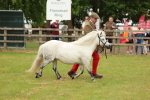 SBM_03537