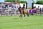 SBM_06109