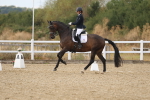 SBM_010998