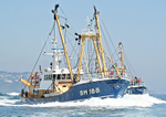 060617 LLOYD BM 188 IMG_9565