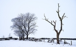 Winter at Tegg's Nose (1)