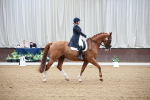 SBM_008687