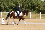SBM_000386