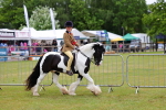 SBM_02604
