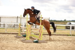 SBM_026840