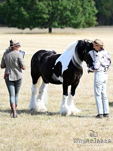 WJ7_9129