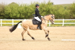 SBM_007312