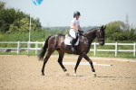 SBM_009672