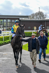 110526-Race 5-Lawmans Blis-1148