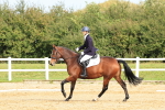 SBM_001536