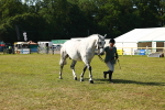 SBM_11831