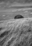 Dorset-7