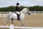 SBM_001463