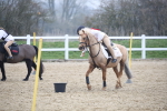 SBM_003887