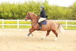 SBM_004194