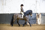 SBM_008984