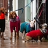 Hot Dogs