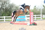 2 Star Medium Tour - Click to View Photos portfolio