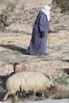 Jordan Roadside 18