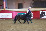 SBM_14870