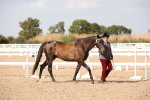 SBM_07035