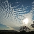 Dawn skies 2