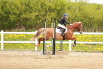 SBM_003873