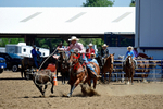 3HRodeo8-11-25_PRCASteer_03230_