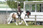 SBM_17643