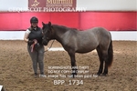 BPP_1734
