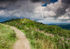 Blackhill Summer