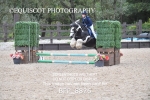 BPP_8826