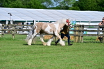 SBM_10140