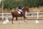 SBM_012001