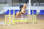 SBM_000454