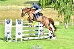 230707-083600-05898_Cls 12 Foxhunter  120m Open