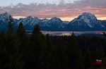 3HPhotography5-22-25_GTNP_1465_