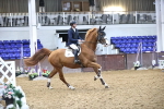 SBM_004227