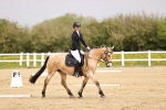 SBM_007310