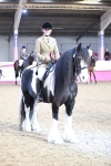 SBM_09115