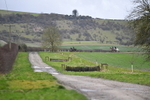 WJ5_4067