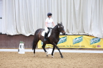 SBM_001528