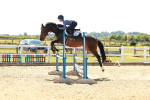 SBM_006848