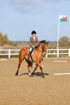 SBM_000398