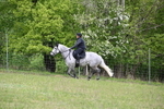 WJ6_1669