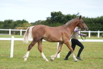 DSC04759