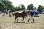 WJ6_4976