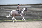 SBM_007936
