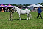 SBM_07822